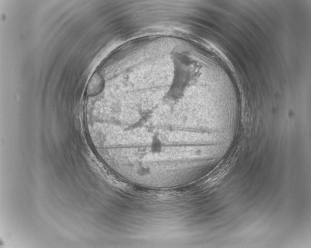 X0000054400899200508262228