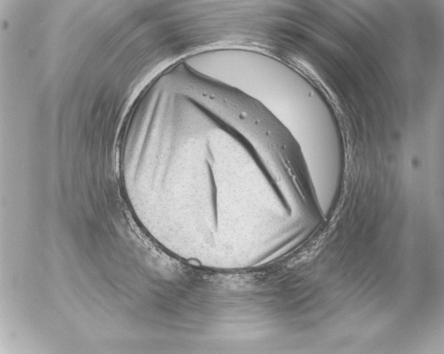 X0000054400900200508262228