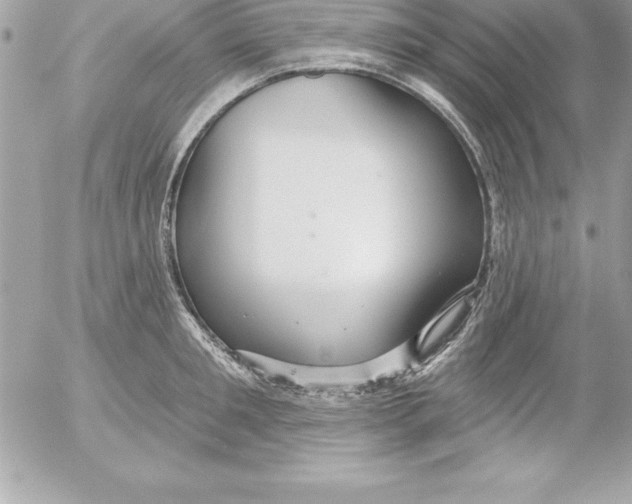 X0000054400901200508262228