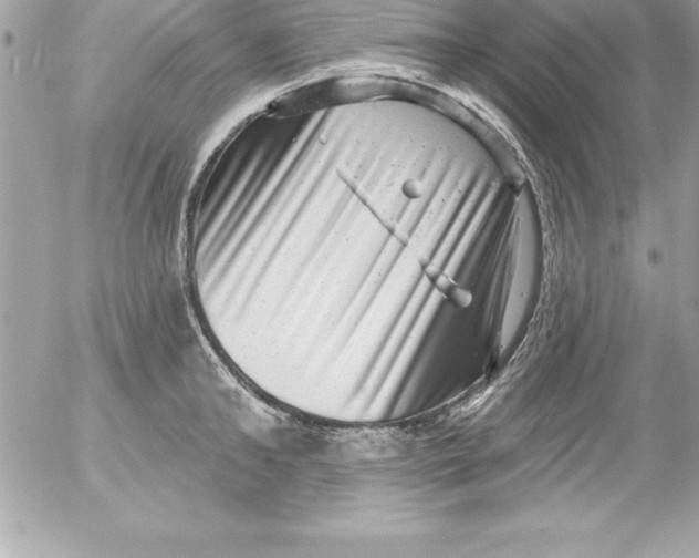 X0000054400902200508262228