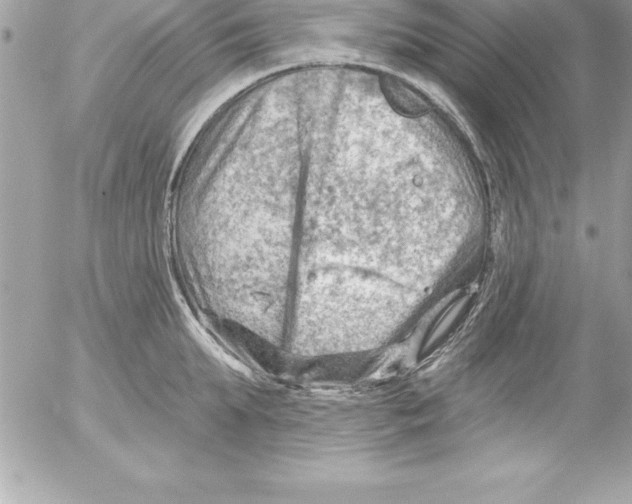 X0000054400903200508262228