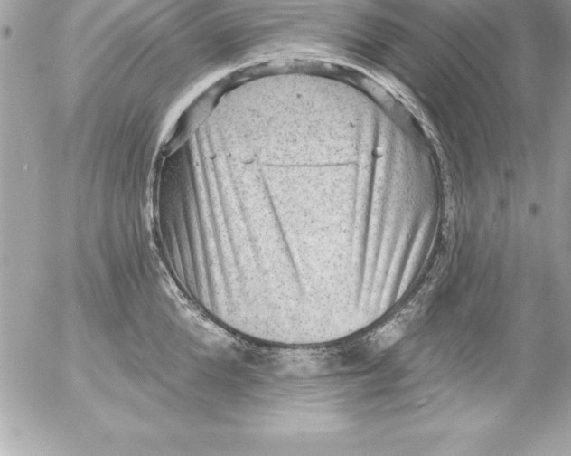 X0000054400904200508262228