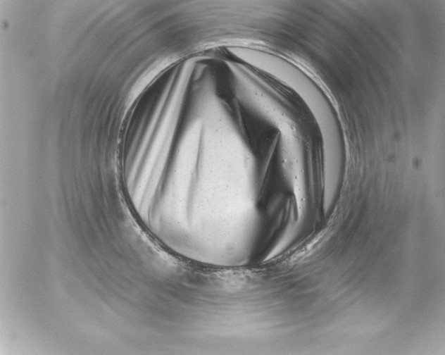 X0000054400906200508262228