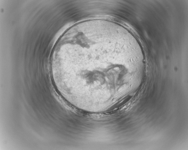 X0000054400907200508262228