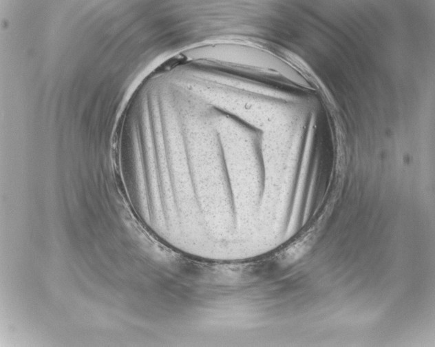 X0000054400908200508262228