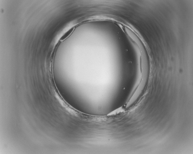 X0000054400909200508262228