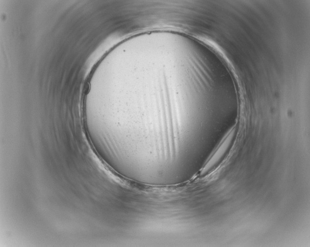 X0000054400910200508262228