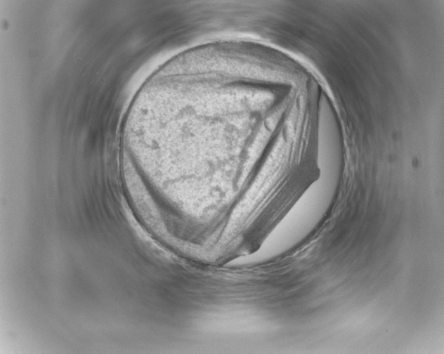 X0000054400911200508262228