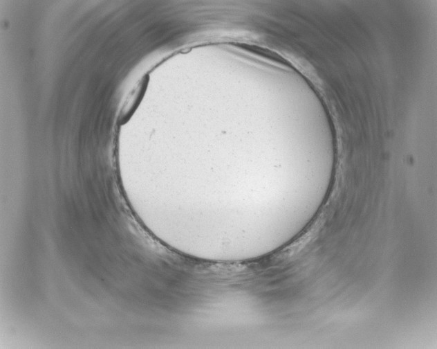 X0000054400912200508262228