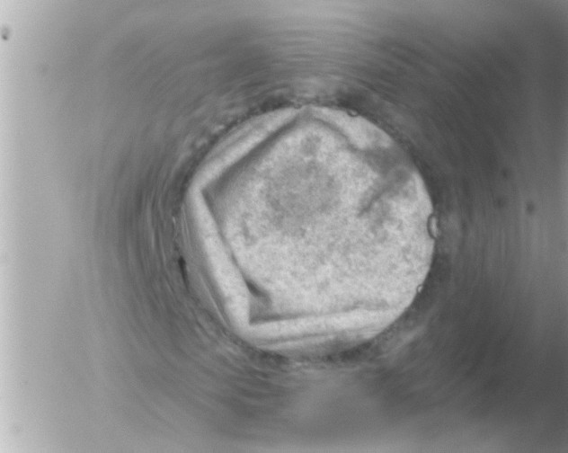 X0000054400913200508262227