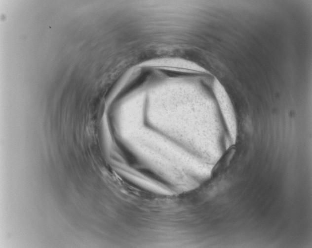 X0000054400914200508262227