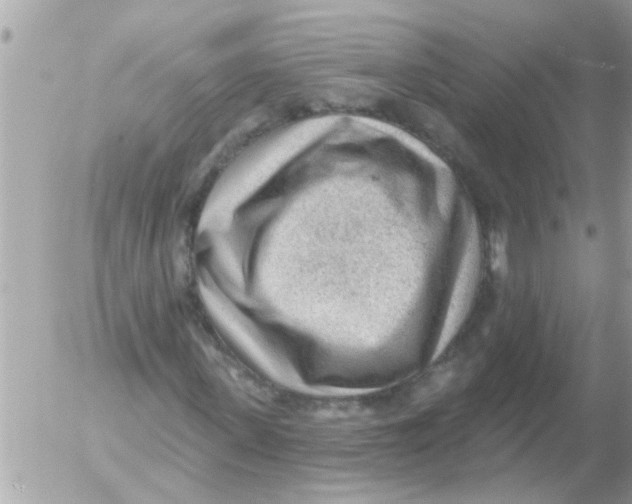 X0000054400915200508262227