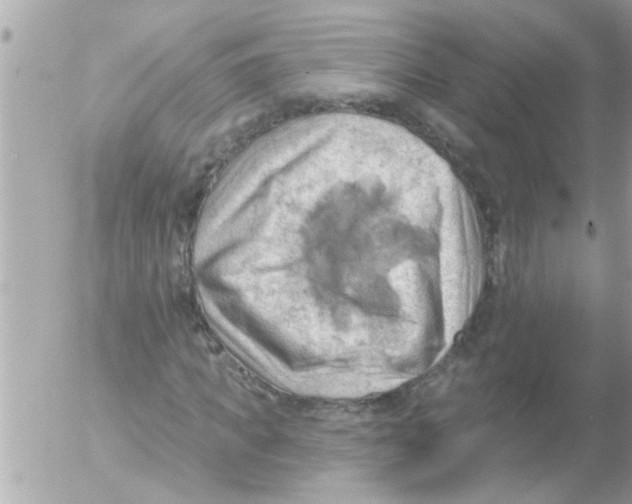 X0000054400917200508262227