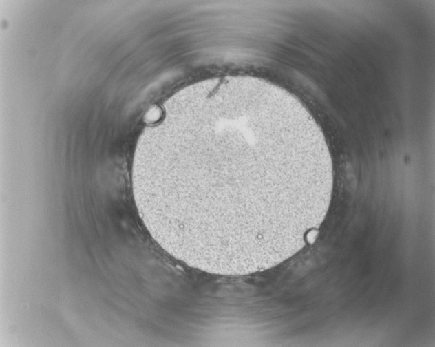 X0000054400918200508262227