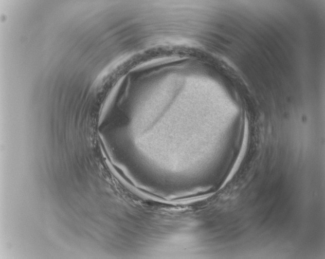 X0000054400919200508262227