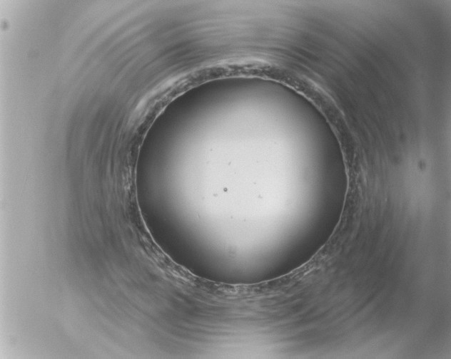 X0000054400920200508262227