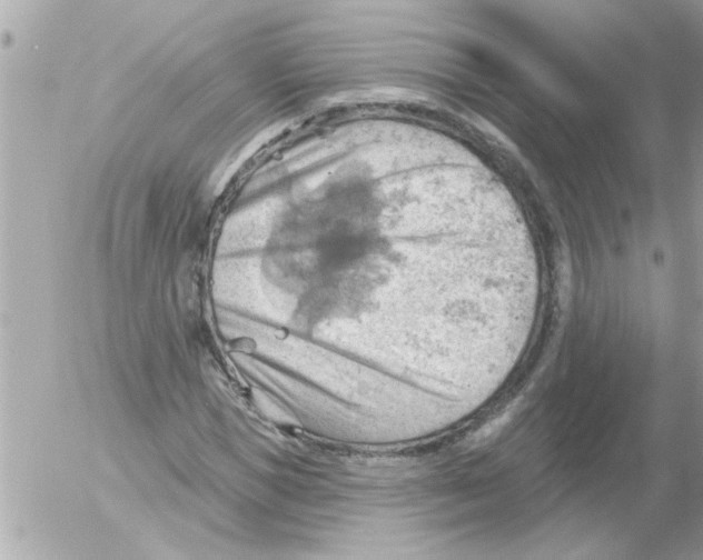 X0000054400921200508262227