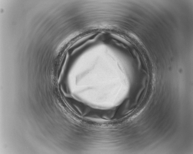 X0000054400922200508262227