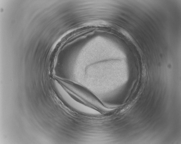 X0000054400923200508262227