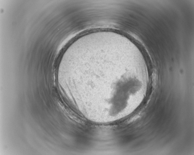 X0000054400925200508262227