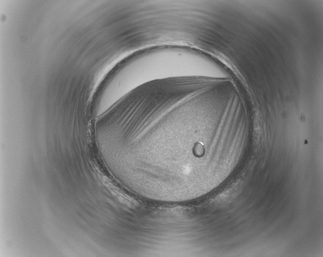 X0000054400926200508262227