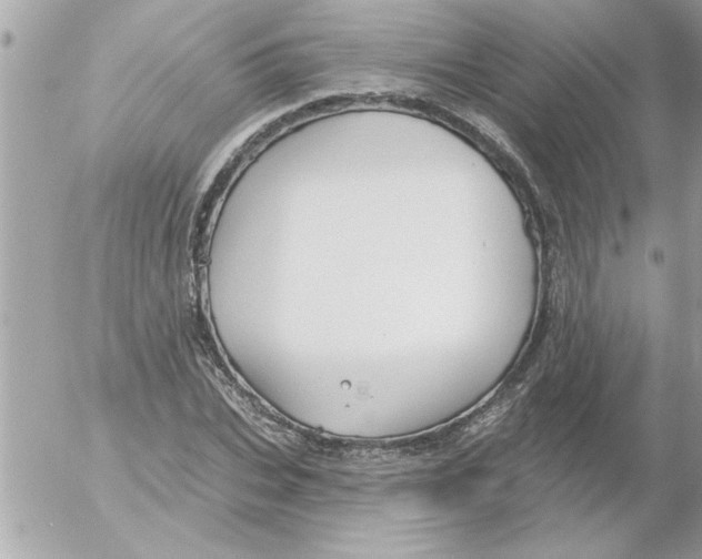 X0000054400927200508262227