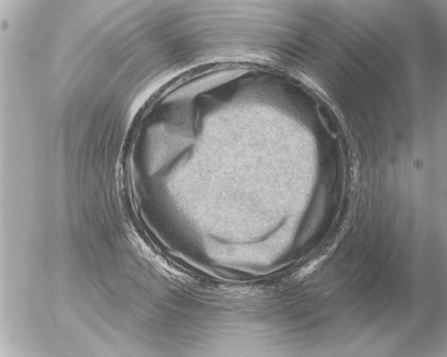 X0000054400928200508262227