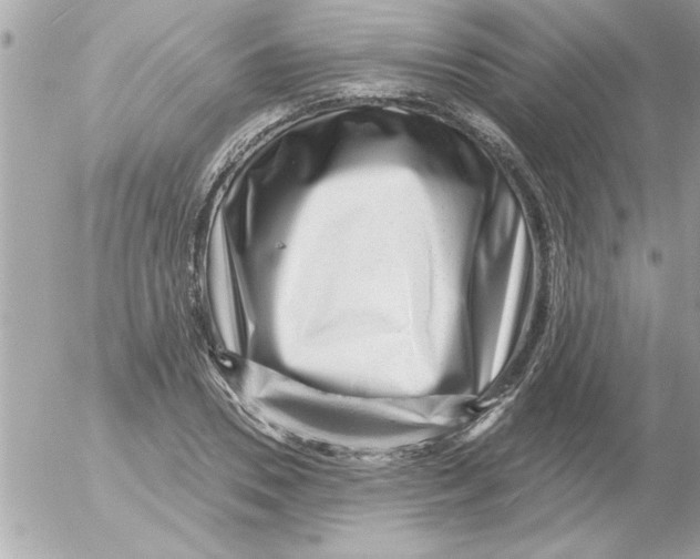 X0000054400930200508262227