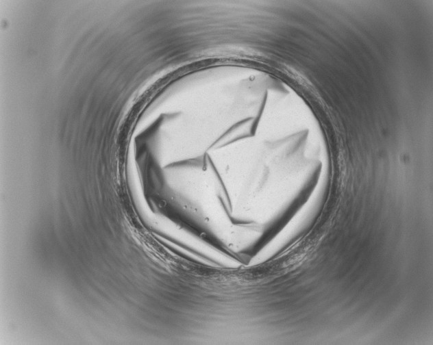 X0000054400931200508262227