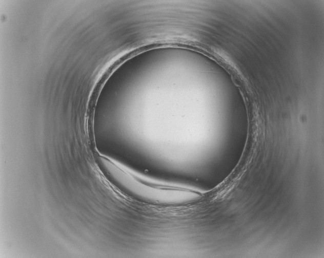 X0000054400932200508262227