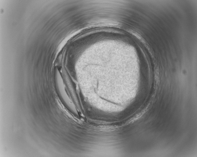 X0000054400933200508262227