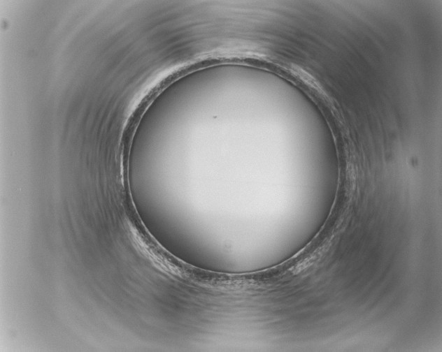 X0000054400934200508262227