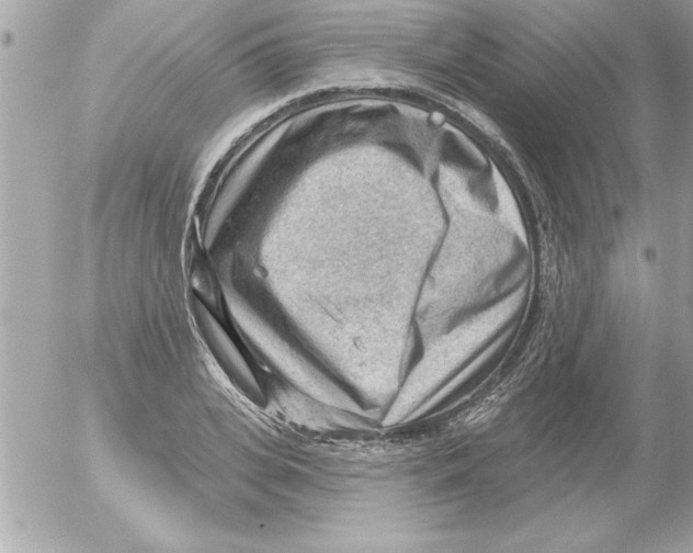 X0000054400935200508262227