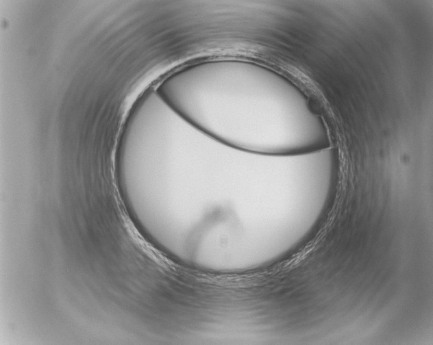 X0000054400936200508262227