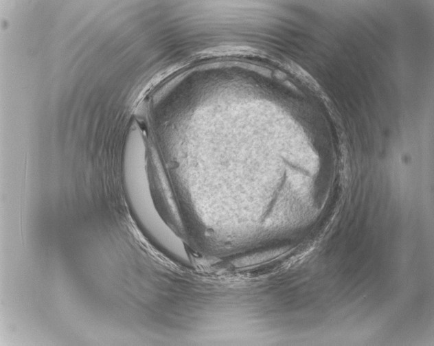 X0000054400937200508262227