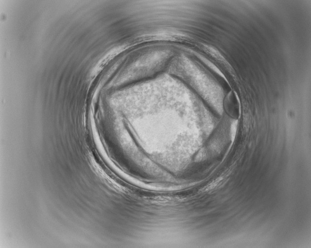 X0000054400938200508262227