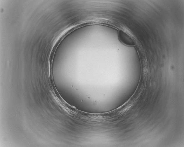 X0000054400940200508262227