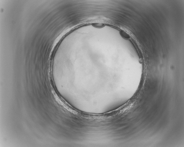 X0000054400941200508262227