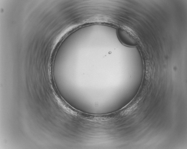 X0000054400942200508262227