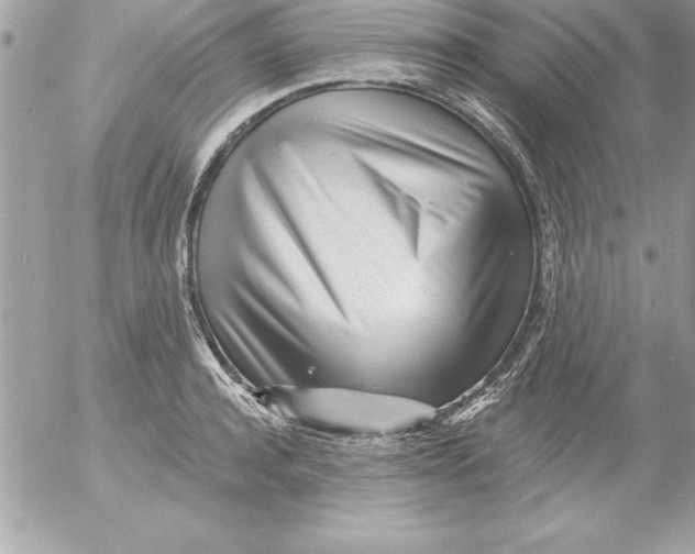 X0000054400944200508262227