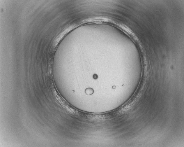 X0000054400945200508262227