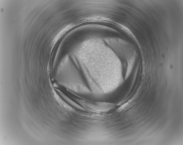 X0000054400946200508262227