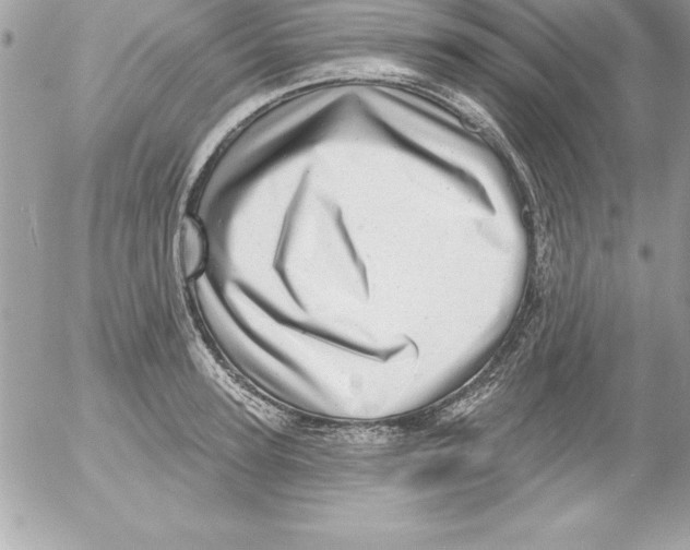 X0000054400947200508262227