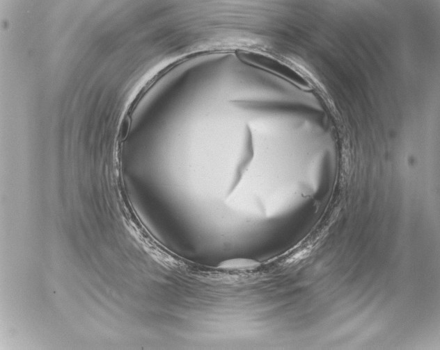 X0000054400948200508262227