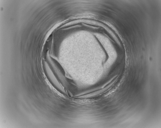 X0000054400949200508262227