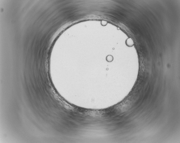 X0000054400950200508262227