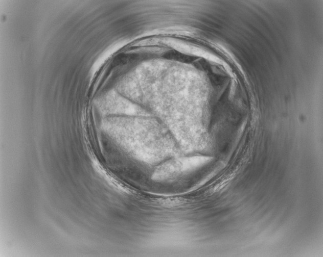 X0000054400952200508262228