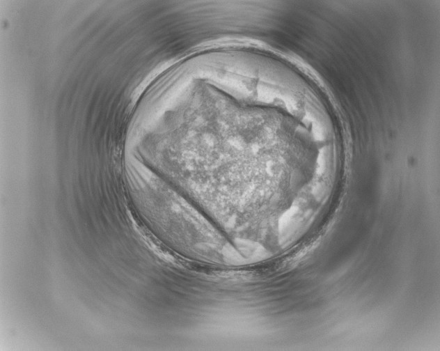 X0000054400953200508262228