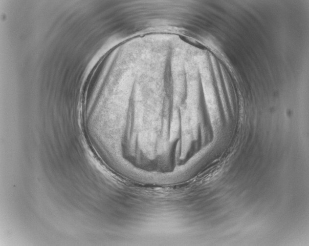 X0000054400955200508262228