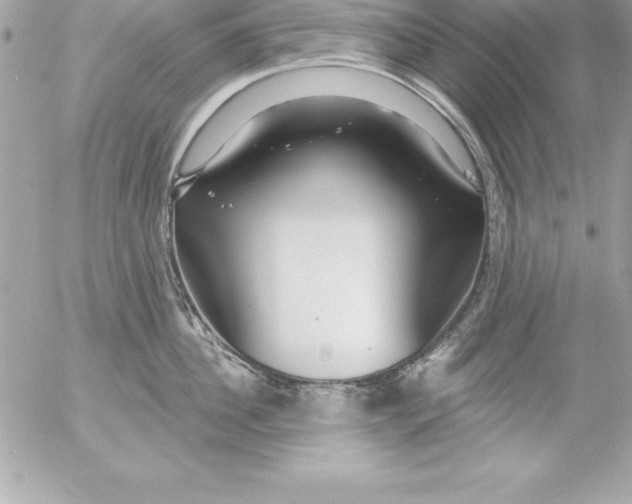 X0000054400956200508262228